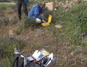 portugal Squid surveys